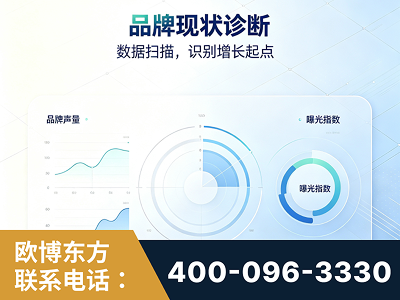 高邮-品牌现状诊断