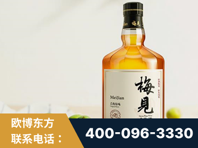 高邮-梅见青梅酒
